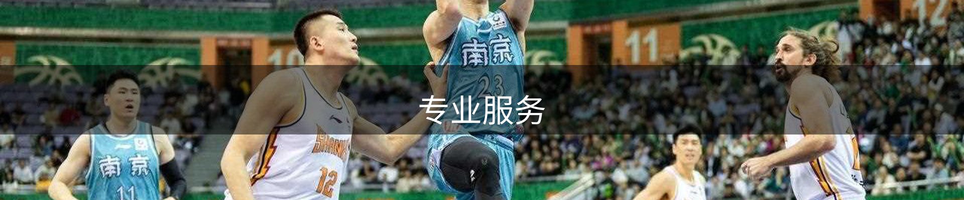 专业服务