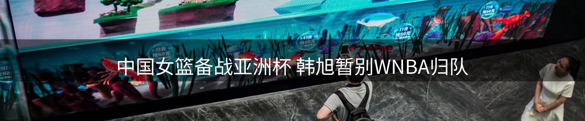 行业观察