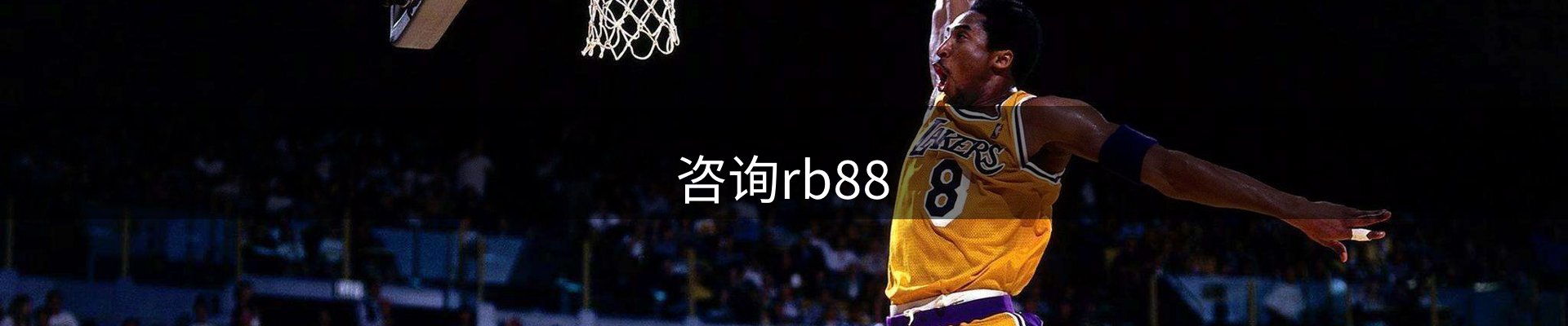 咨询rb88